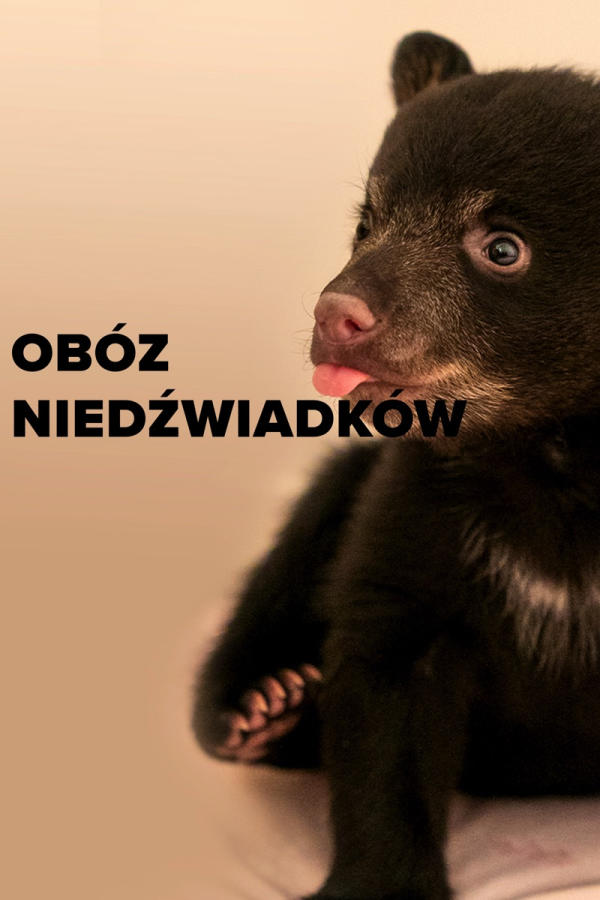 Obóz niedźwiadków, odc. 1
