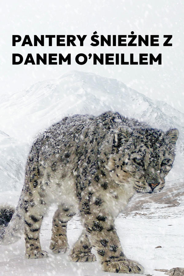 Pantery śnieżne z Danem O’Neillem, odc. 1