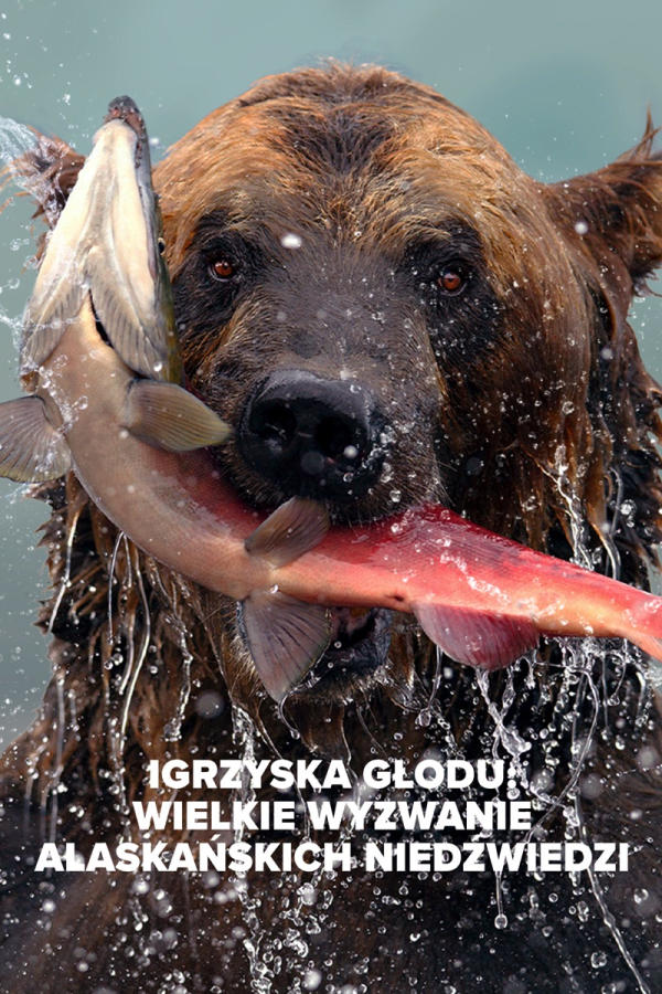 Igrzyska głodu: Wielkie wyzwanie alaskańskich niedźwiedzi, odc. 1