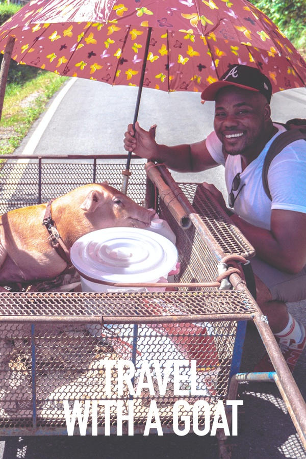 Travel with a Goat, odc. 5