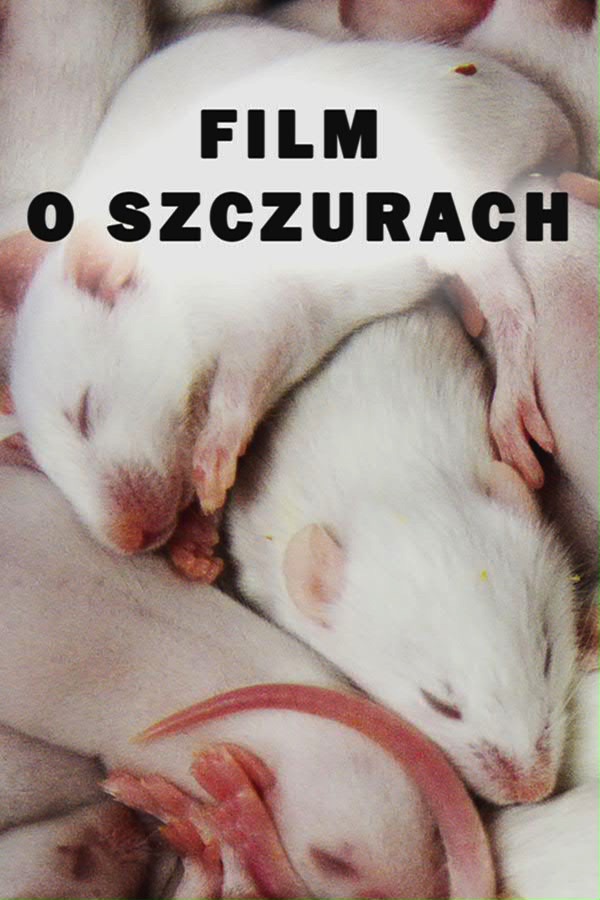 FILM O SZCZURACH