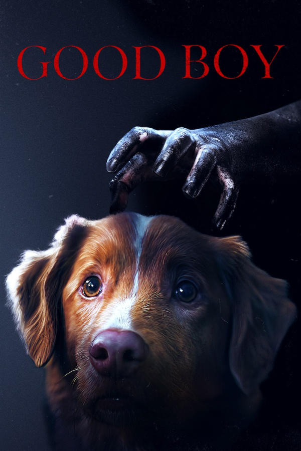 od 13 stycznia - Good boy