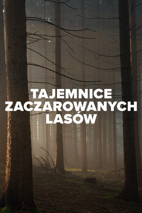 Tajemnice zaczarowanych lasów, odc. 5