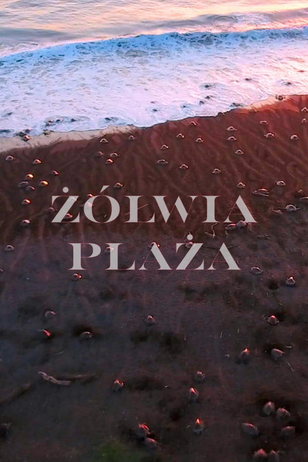 Żółwia plaża