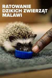 Ratowanie dzikich zwierząt Malawi 2, odc. 1