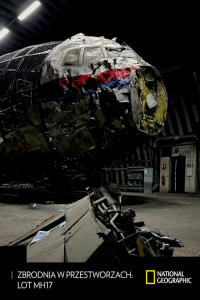 Zbrodnia w przestworzach: lot MH17, odc. 2